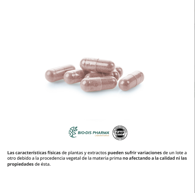 Semilla de Uva 50mg (Resveratrol) - Alecobio