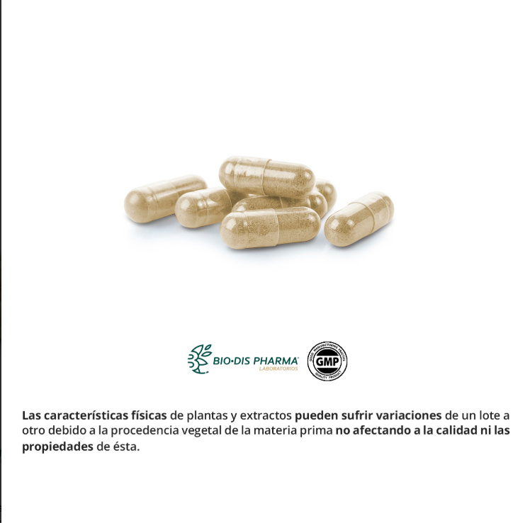 Maca - Alecobio
