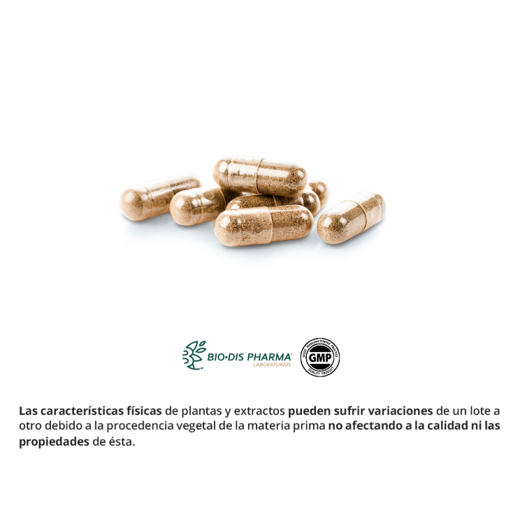 Ginseng & Guaraná - Alecobio