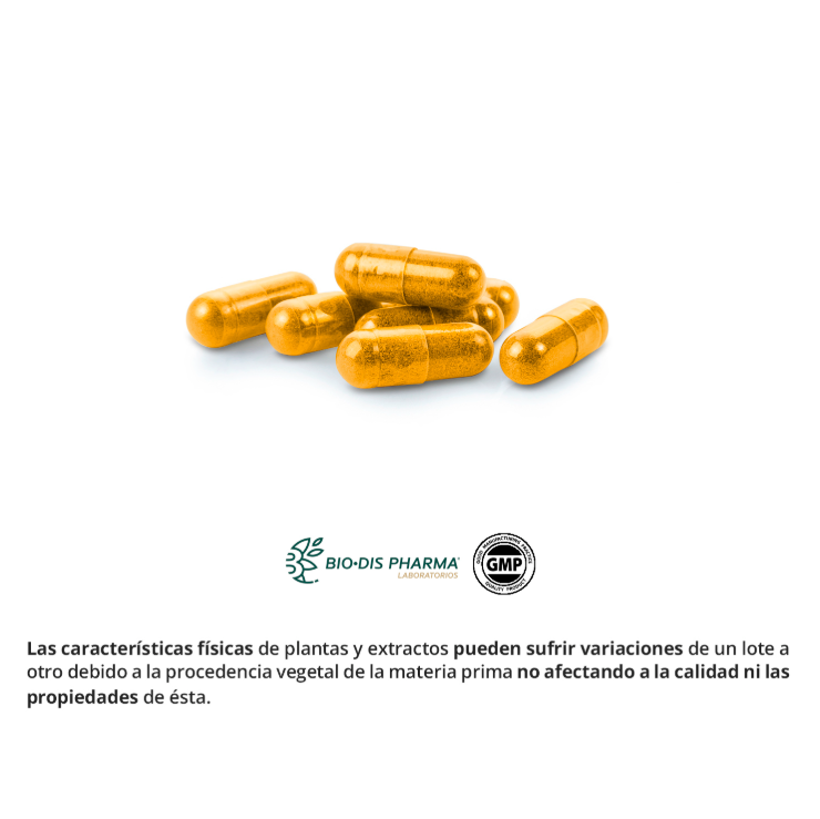 Cúrcuma 5000mg
