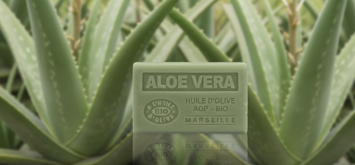Jabón de Aloe Vera 125g - Alecobio