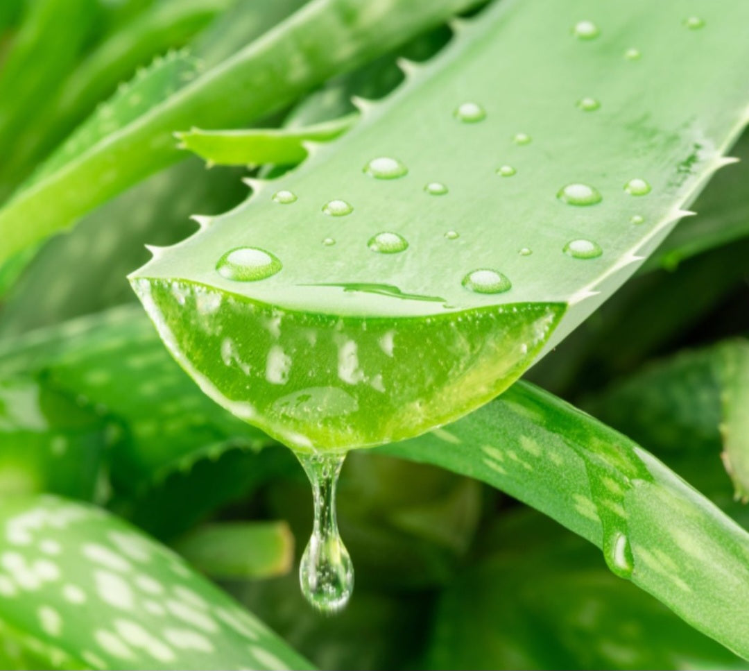 Sérum Facial con Aloe Vera