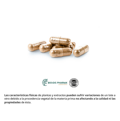 Ginseng & Guaraná - Alecobio