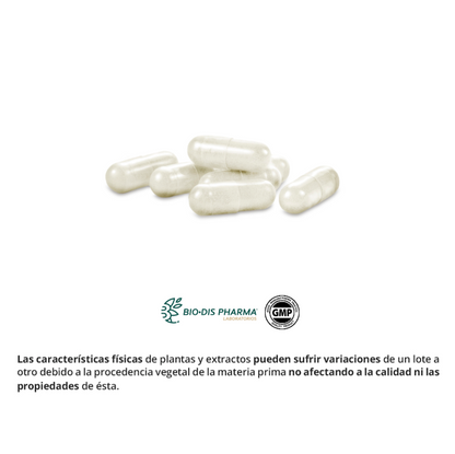 Colágeno Marino Hidrolizado + Magnesio - Alecobio