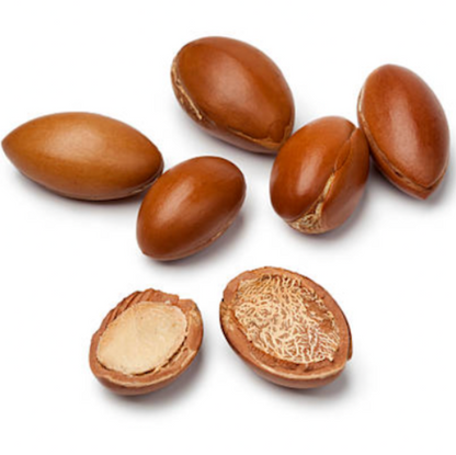 Gel -Champú Sólido 2 en 1 - Alecobio