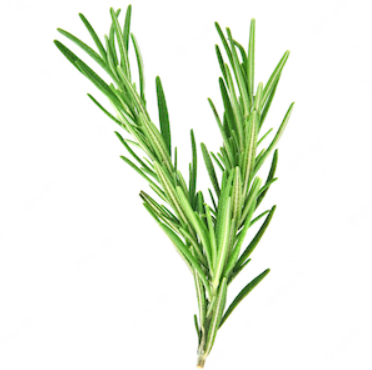 Champú Sólido con Romero y Quina - Alecobio