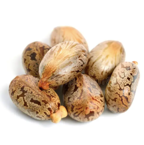 Champú Sólido con Aceite de Ricino - Alecobio