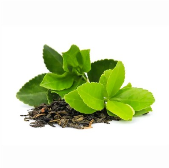 Champú Sólido Herbal y Té Matcha - Alecobio