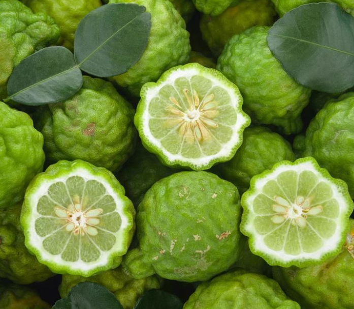 Aceite Esencial de Bergamota - Alecobio