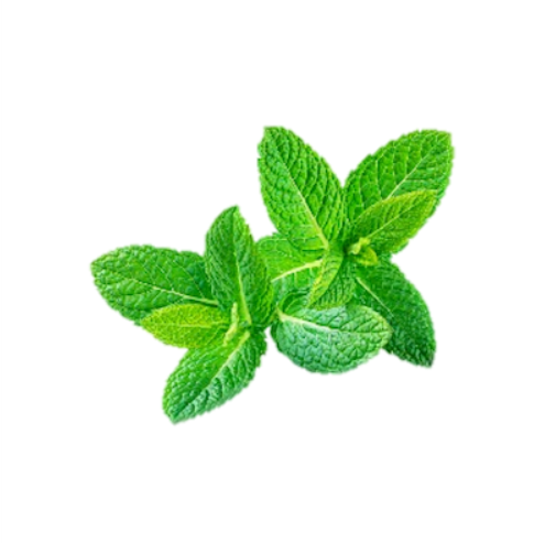 Gel -Champú Sólido 2 en 1 - Alecobio