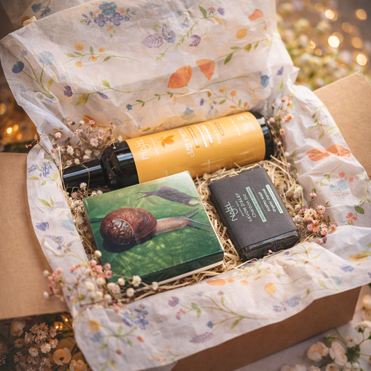 Pack Rutina Facial Piel Grasa – Purificante con Carbón, Limón y Baba de Caracol - Alecobio