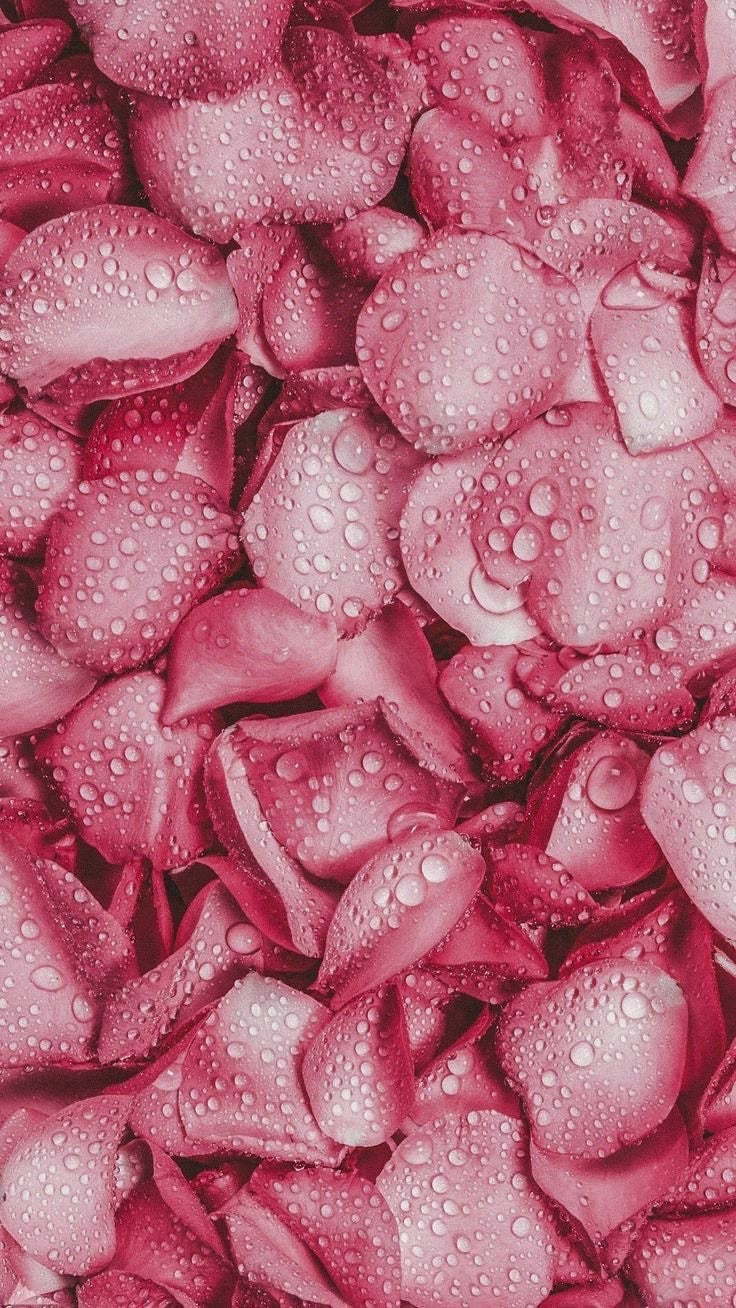 Lote Regenerador con Rosa Mosqueta - Alecobio