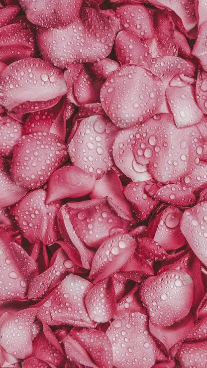 Lote Regenerador con Rosa Mosqueta - Alecobio