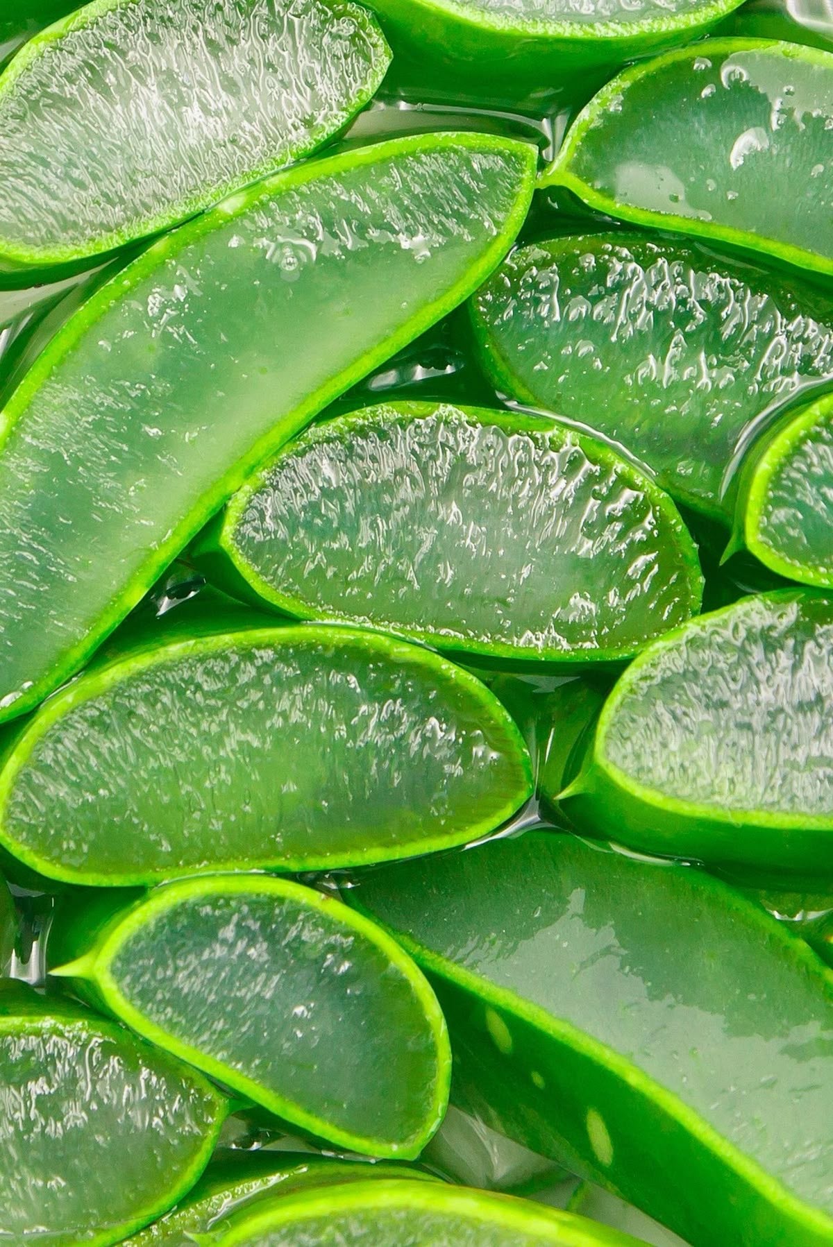 Lote Cuidado Natural con Aloe Vera - Alecobio