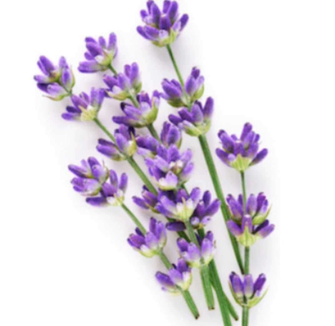 Champú Sólido Lavanda e Índigo - Alecobio