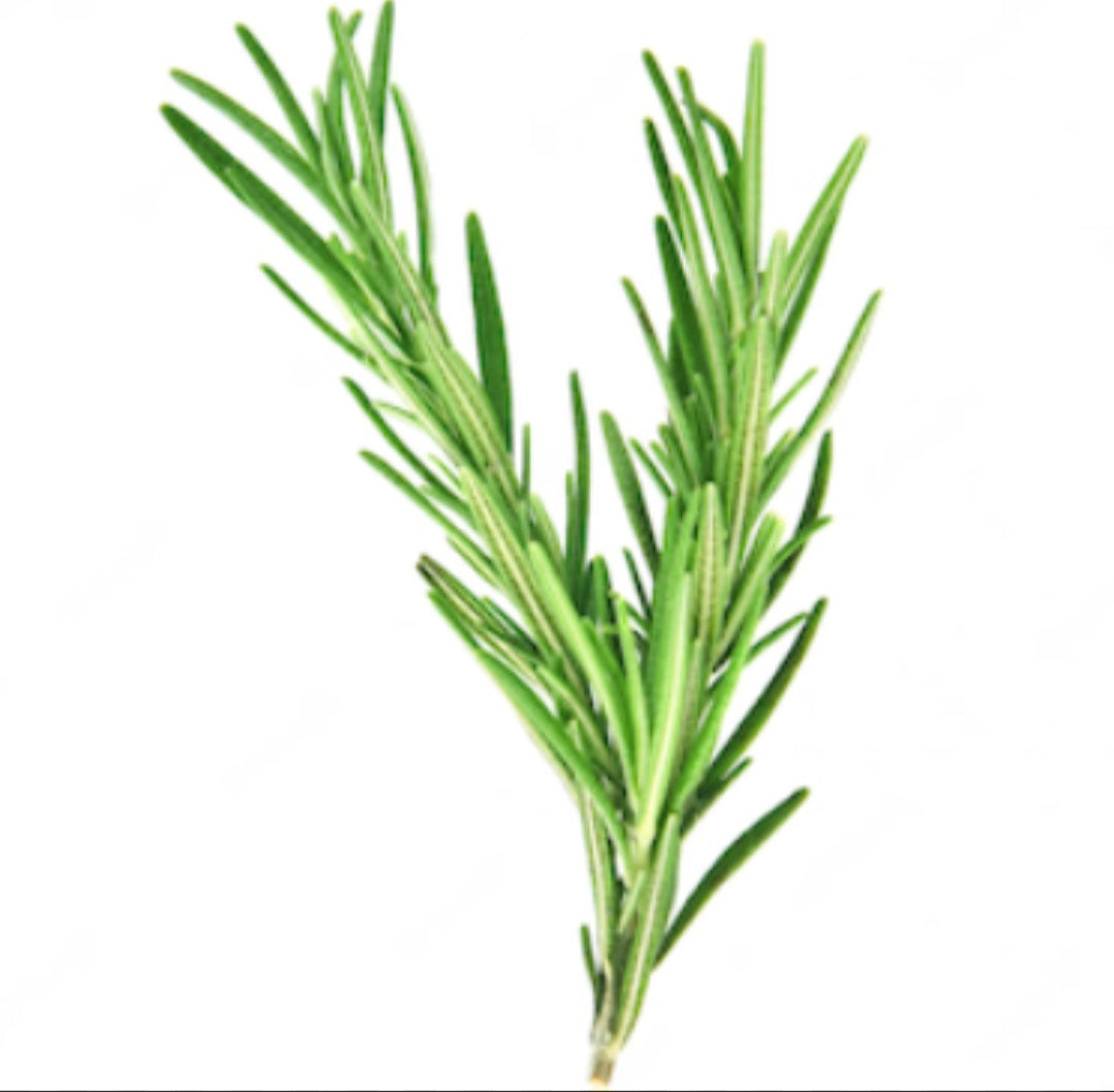 Champú Sólido con Romero y Quina