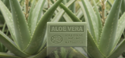 Jabón de Aloe Vera 125g - Alecobio