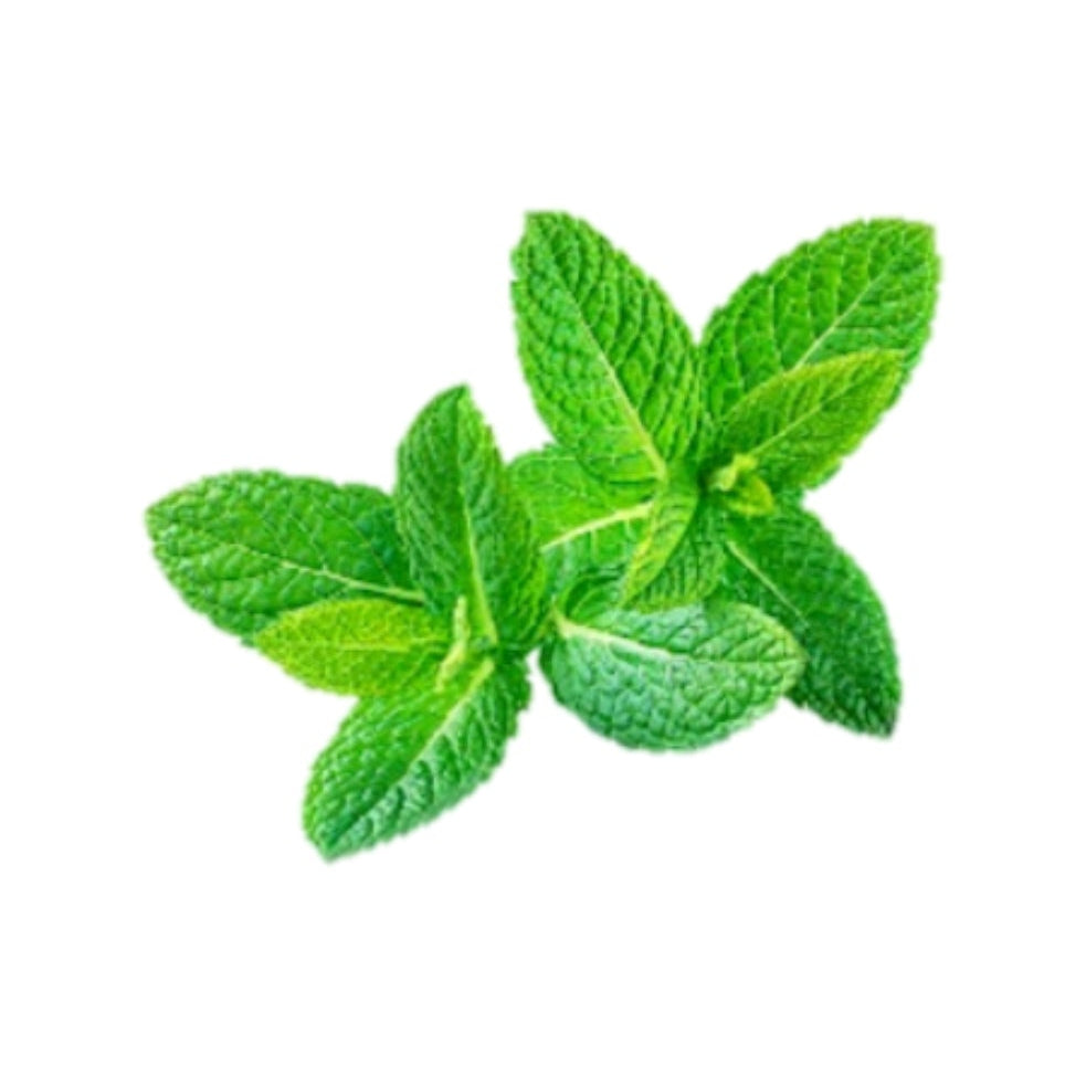 Gel -Champú Sólido 2 en 1