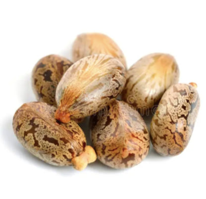 Champú Sólido con Aceite de Ricino