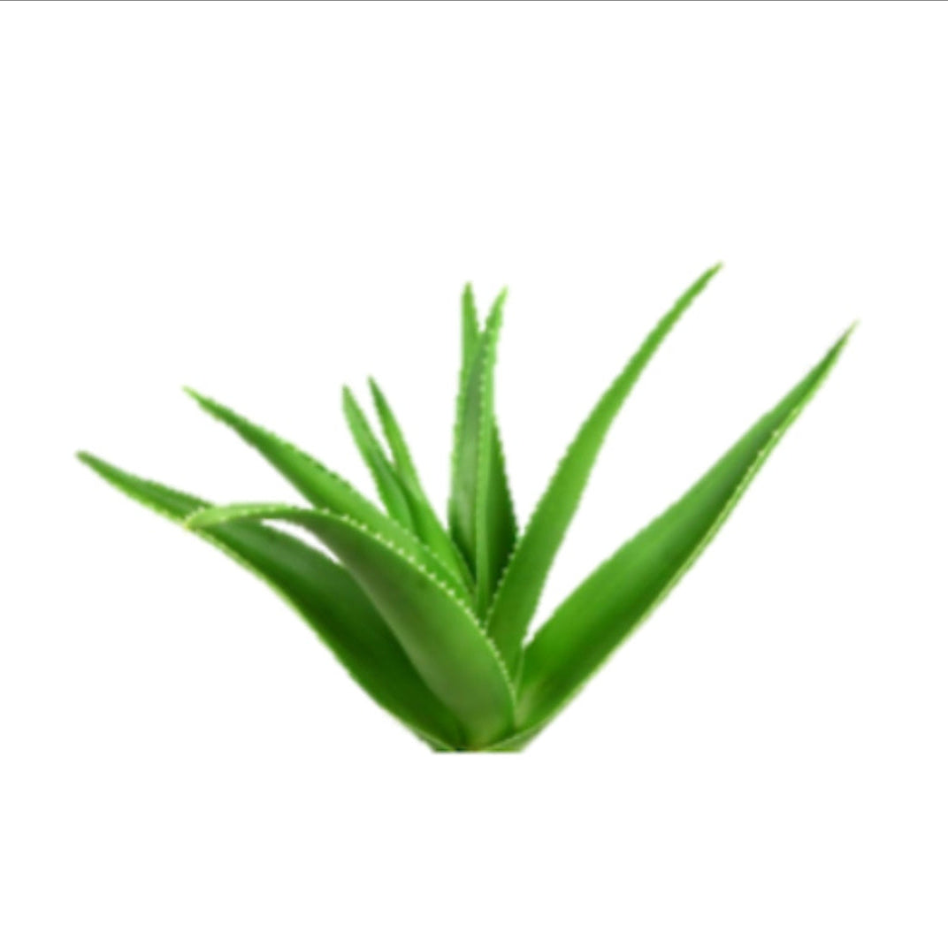 Gel -Champú Sólido 2 en 1